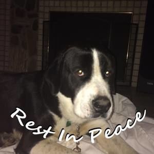 Meet your Posher, Cher